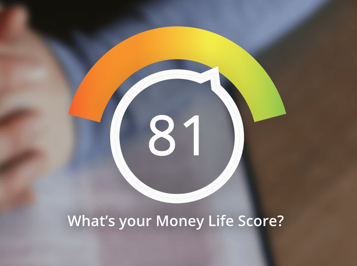 MoneyLife Indicator