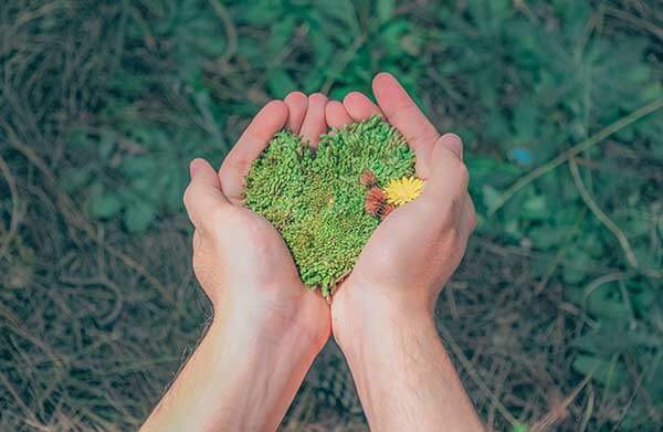 environmental_stewardship Environmental Stewardship