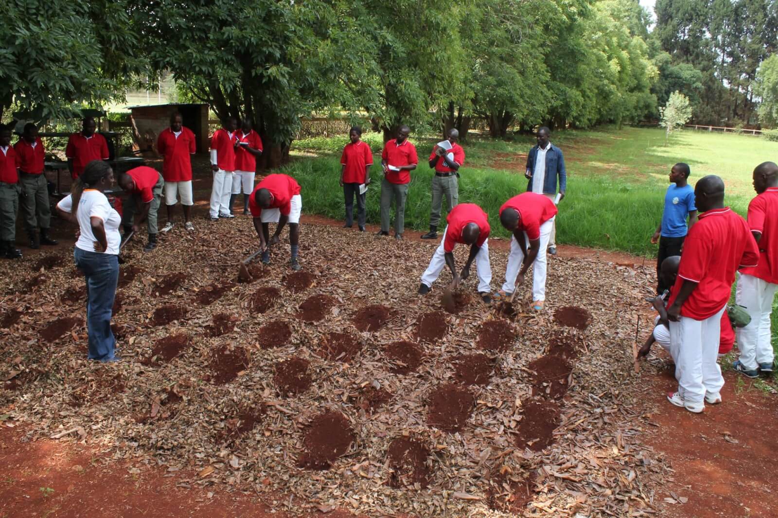 Training prison Inmates