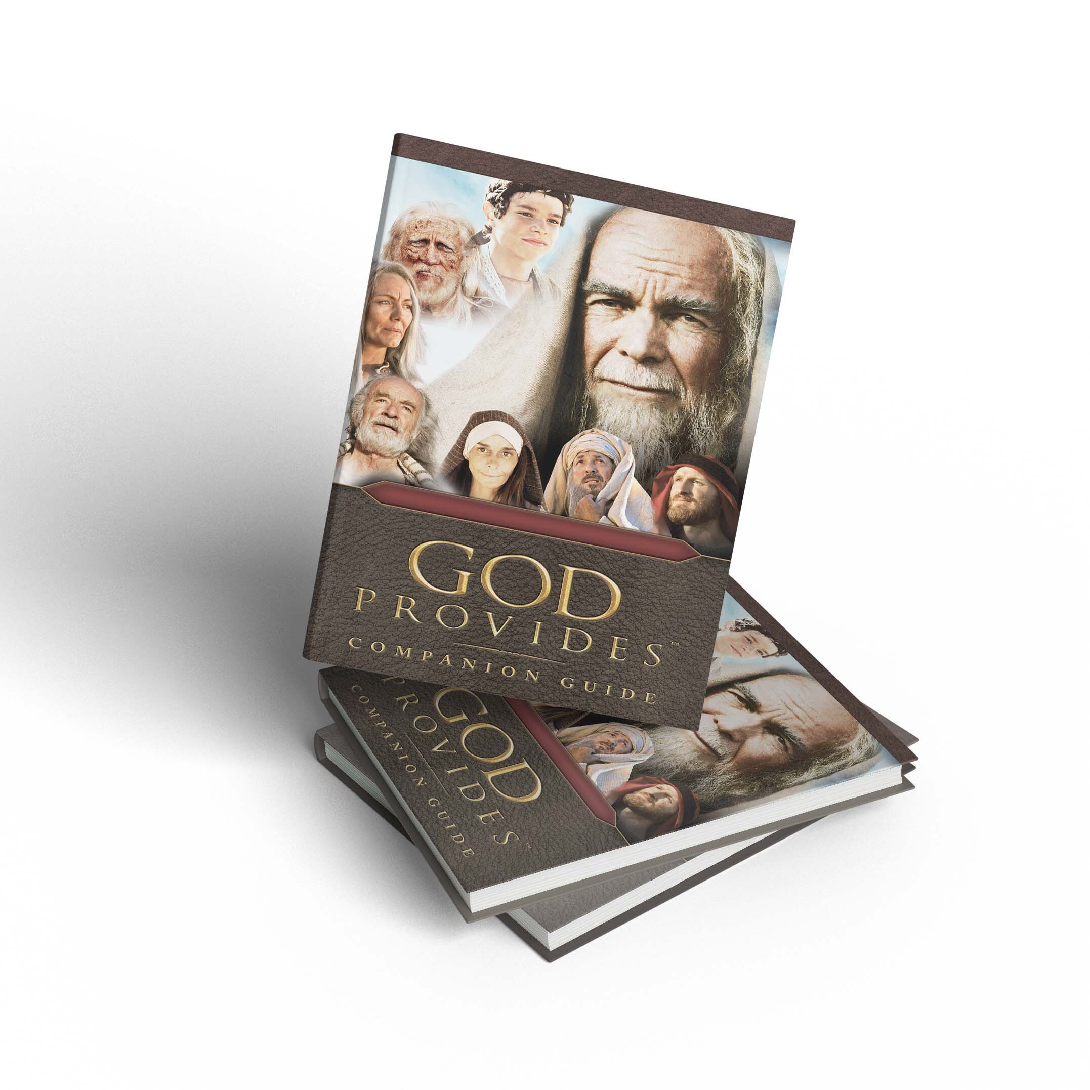 God Provides Companion Guide