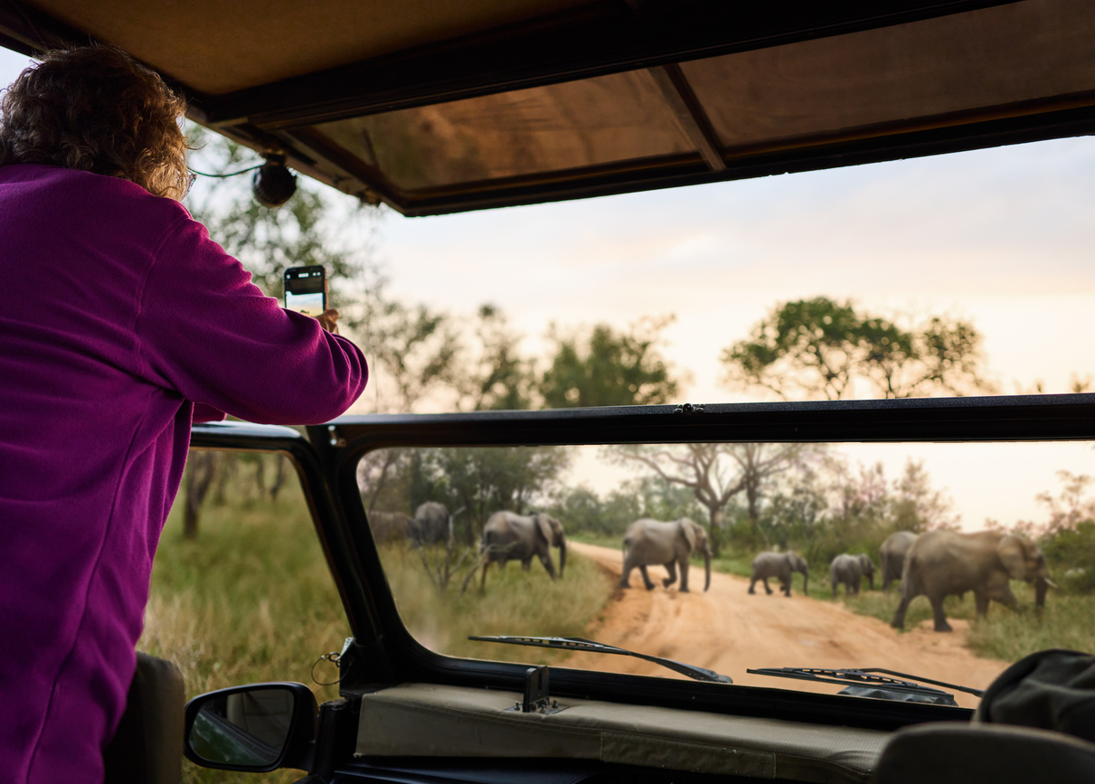 Mature Woman Photographing An Elephant Herd During A Safari Drive